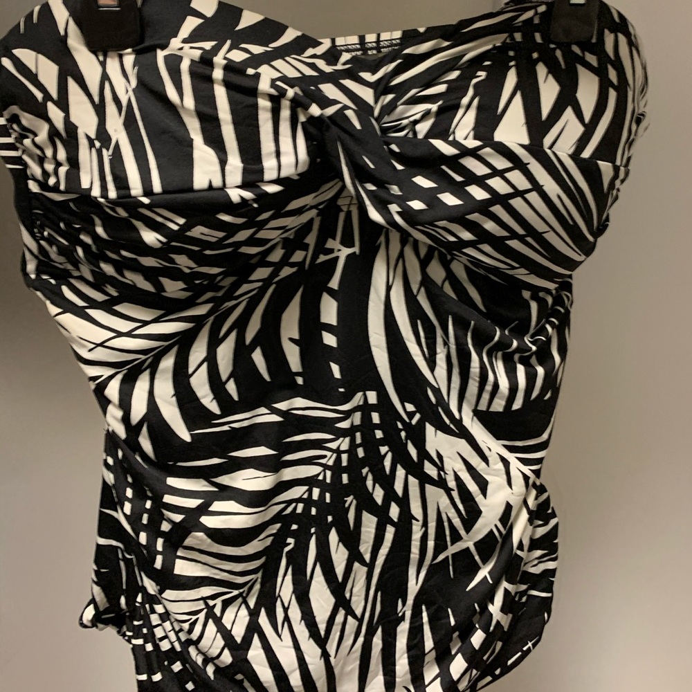 Tankini with Skirt (wore one Summer)